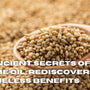 The Ancient Secrets of Sesame Oil: Rediscovering Its Timeless Benefits