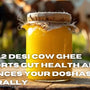 How A2 Desi Cow Ghee Supports Gut Health and Balances Your Doshas Naturally