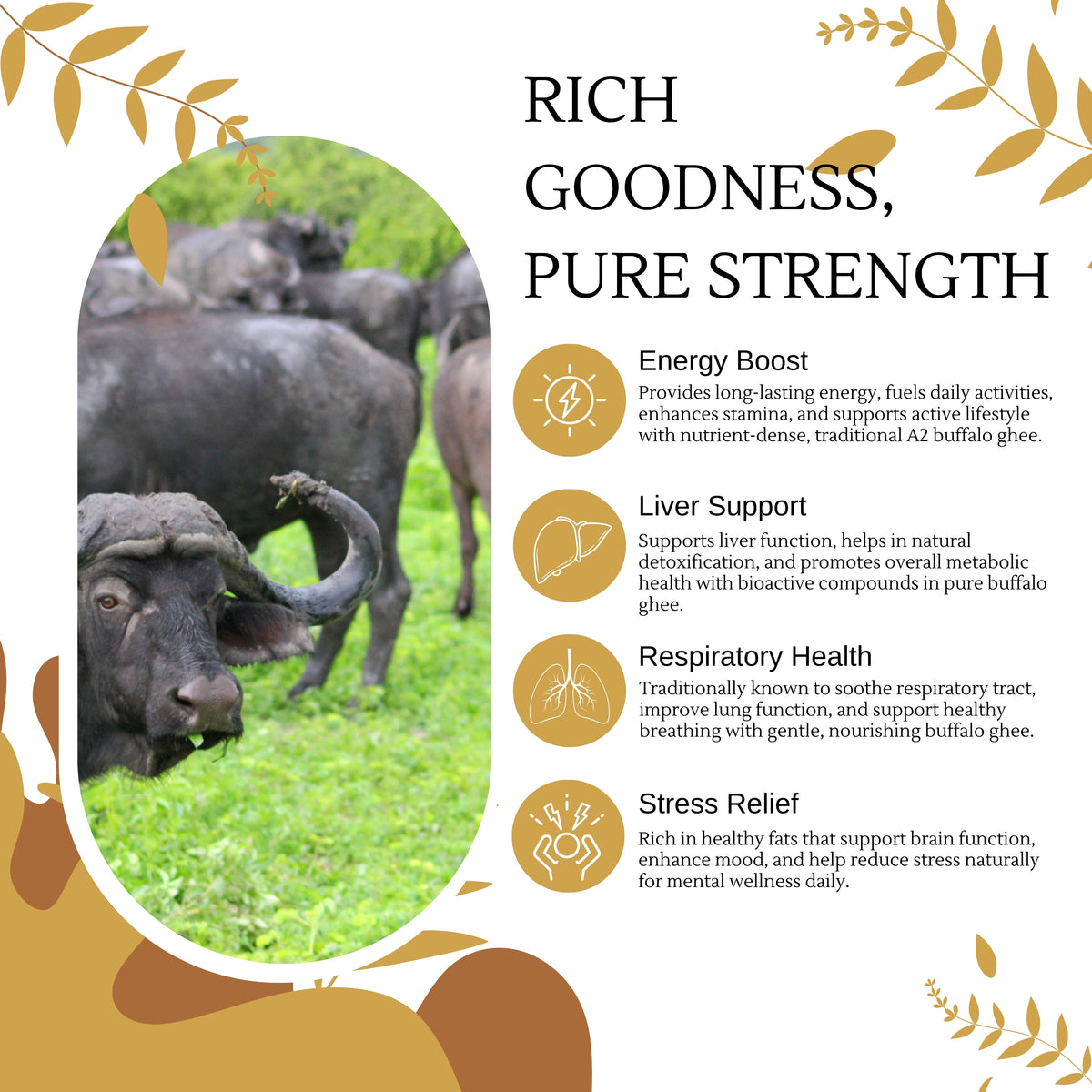 Buffalo in a natural setting with health benefits text overlay
