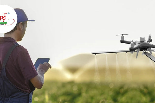The Role of Traditional Farming in Modern Agriculture: A Sustainable Future