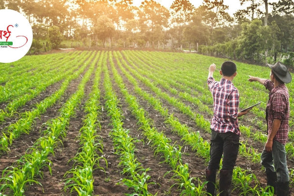 Embracing Sustainable Living: The Role of Organic Food in a Healthier Future