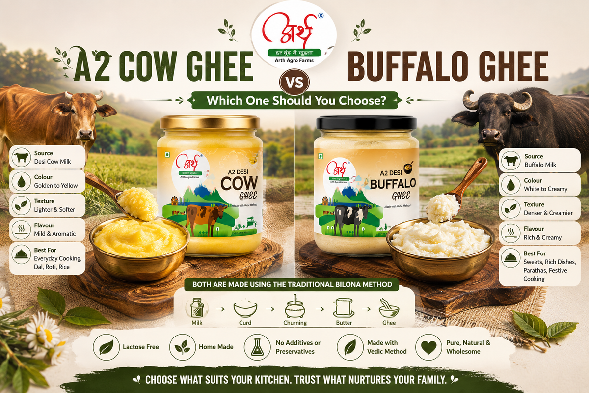 A2 cow ghee vs buffalo ghee comparison with traditional Bilona ghee