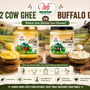 A2 cow ghee vs buffalo ghee comparison with traditional Bilona ghee