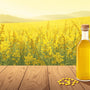 Why Yellow Mustard Oil Is Ayurveda’s Best Oil for Strong Digestion & Gut Health