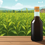 Black Mustard Oil – The Forgotten Super Oil Reviving Traditional Health