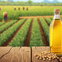 Groundnut Oil – The Everyday Super Oil for Modern Healthy Living