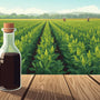 Why Wood Pressed Black Mustard Oil Deserves a Place in Your Kitchen