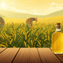 Why Refined Oils Are Out and Wood-Pressed Oils Are In: The Sesame Oil Advantage
