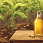 How Groundnut Oil Helps Improve Heart Health Without Affecting Taste