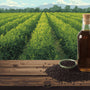 Bold & Powerful: The Ayurvedic Benefits of Wood-Pressed Black Mustard Oil for Hair, Skin, and Immunity