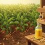 How Groundnut Oil Protects Your Heart Better Than Olive Oil in Indian Cooking — The Truth No One Talks About