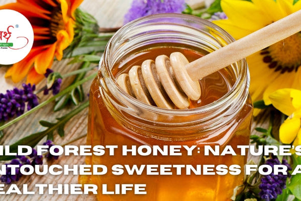 Wild Forest Honey: Nature’s Untouched Sweetness for a Healthier Life