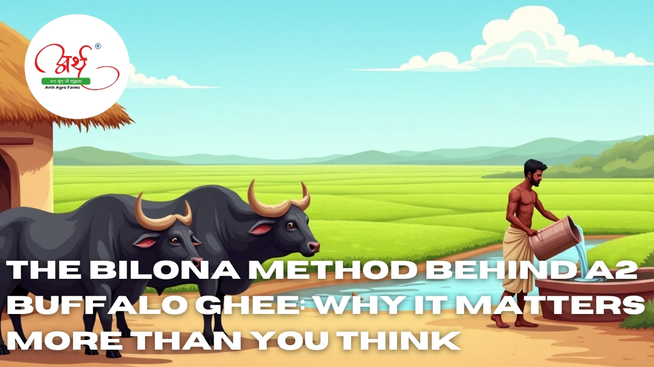 The Bilona Method Behind A2 Buffalo Ghee: Why It Matters More Than You Think