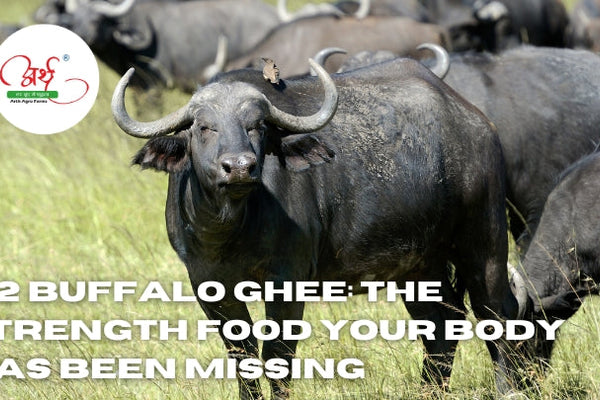 A2 Buffalo Ghee: The Strength Food Your Body Has Been Missing