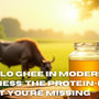 Buffalo Ghee in Modern Wellness: The Protein-Rich Secret You’re Missing