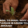 From Soil to Soul: Why Arth Agro Farms Is More Than Just a Brand
