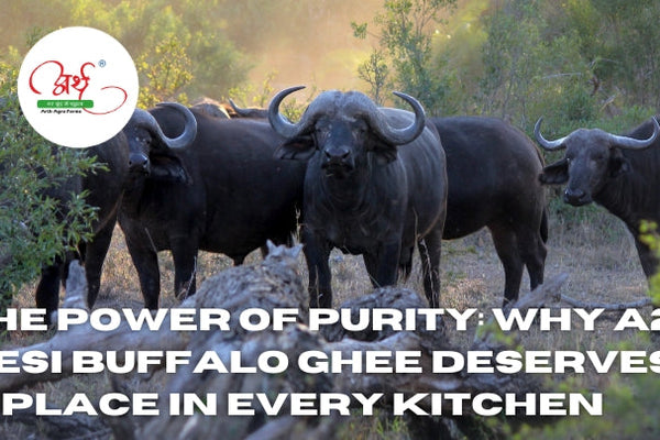 he Power of Purity: Why A2 Desi Buffalo Ghee Deserves a Place in Every Kitchen