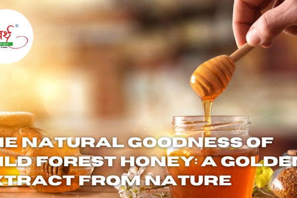 The Natural Goodness of Wild Forest Honey: A Golden Extract from Nature