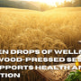 Golden Drops of Wellness: How Wood-Pressed Sesame Oil Supports Health and Tradition