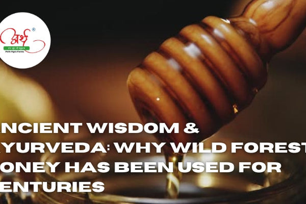 Ancient Wisdom & Ayurveda: Why Wild Forest Honey Has Been Used for Centuries