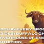 Strength in Every Spoon: Why A2 Desi Buffalo Ghee is the Powerhouse of Energy and Nutrition