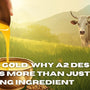 Liquid Gold: Why A2 Desi Cow Ghee is More Than Just a Cooking Ingredient