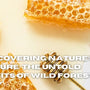 Rediscovering Nature’s Treasure: The Untold Benefits of Wild Forest Honey