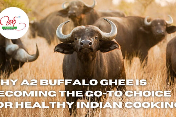 Why A2 Buffalo Ghee Is Becoming the Go-To Choice for Healthy Indian Cooking