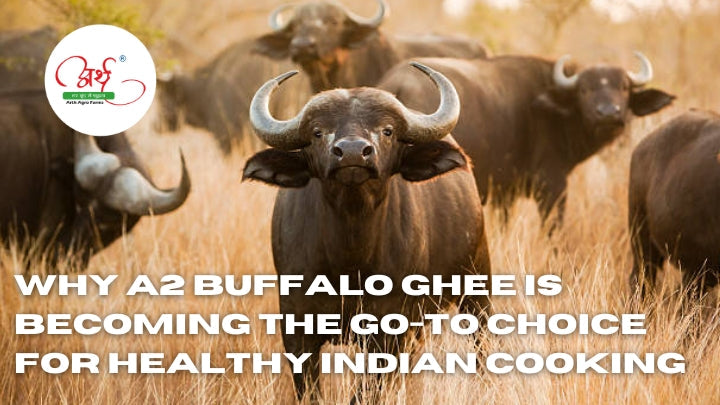 Why A2 Buffalo Ghee Is Becoming the Go-To Choice for Healthy Indian Cooking