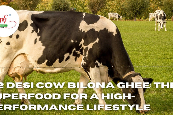 A2 Desi Cow Bilona Ghee: The Superfood for a High-Performance Lifestyle