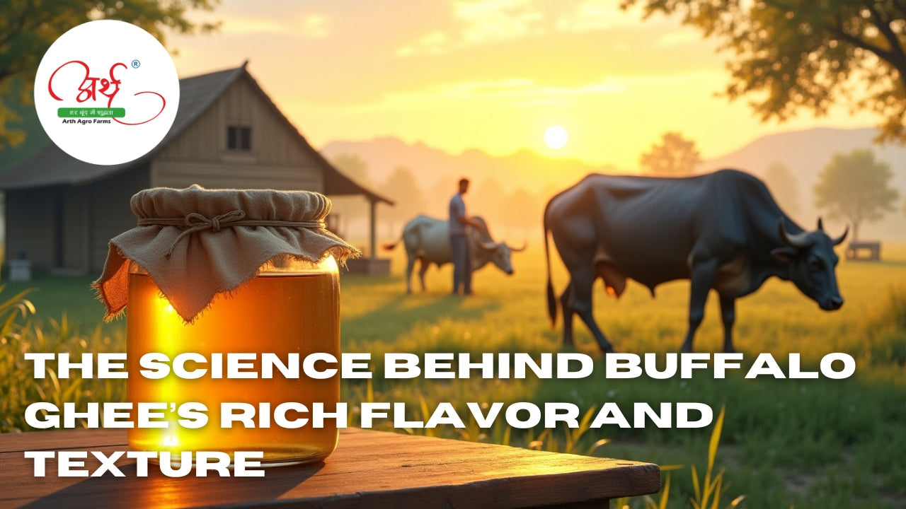 The Science Behind Buffalo Ghee’s Rich Flavor and Texture