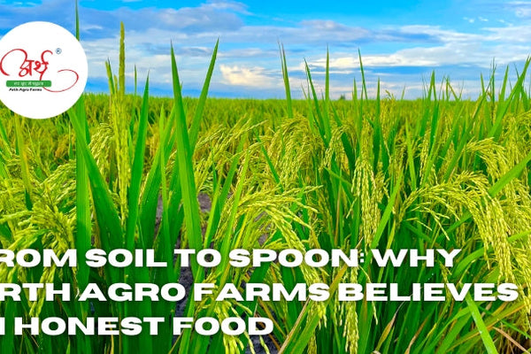 From Soil to Spoon: Why Arth Agro Farms Believes in Honest Food