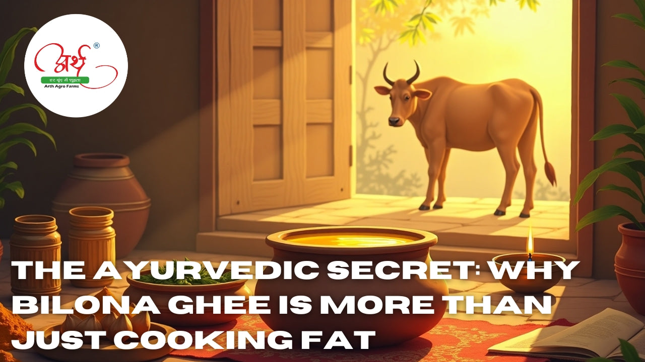 The Ayurvedic Secret: Why Bilona Ghee is More Than Just Cooking Fat