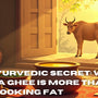 The Ayurvedic Secret: Why Bilona Ghee is More Than Just Cooking Fat