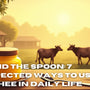 Beyond the Spoon: 7 Unexpected Ways to Use A2 Desi Ghee in Daily Life
