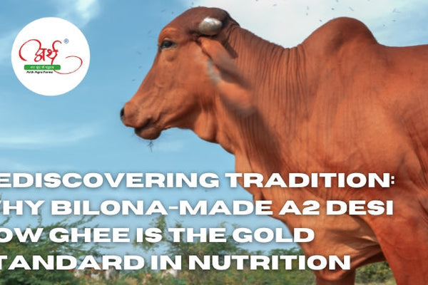 Rediscovering Tradition: Why Bilona-Made A2 Desi Cow Ghee Is the Gold Standard in Nutrition