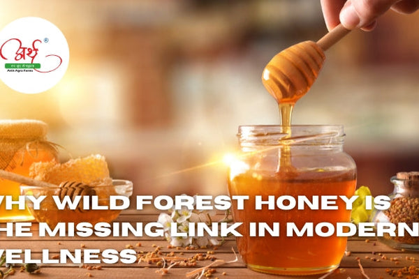 Why Wild Forest Honey Is the Missing Link in Modern Wellness
