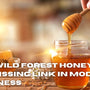 Why Wild Forest Honey Is the Missing Link in Modern Wellness