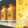 Why Your Ghee May Be Lying to You: The Truth About A1 vs A2