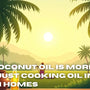 Why Coconut Oil Is More Than Just Cooking Oil in Indian Homes