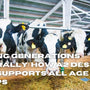 Fueling Generations Naturally: How A2 Desi Cow Ghee Supports All Age Groups