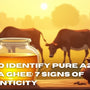 How to Identify Pure A2 Bilona Ghee: 7 Signs of Authenticity