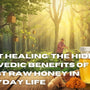 Sweet Healing: The Hidden Ayurvedic Benefits of Forest Raw Honey in Everyday Life
