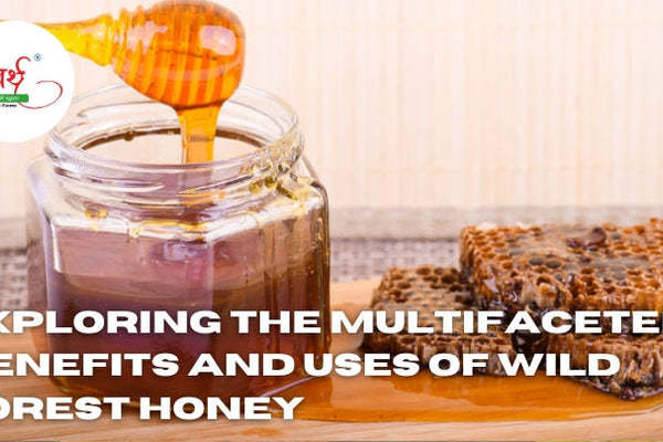 Exploring the Multifaceted Benefits and Uses of Wild Forest Honey