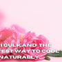 Mishri Gulkand: The Sweetest Way to Cool Your Body Naturally