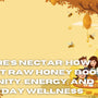 Nature’s Nectar: How Forest Raw Honey Boosts Immunity, Energy, and Everyday Wellness