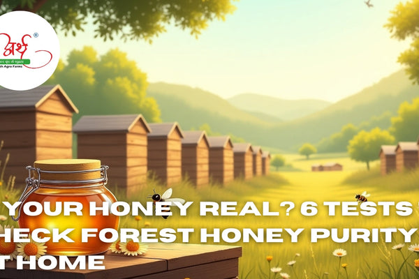 Is Your Honey Real? 6 Tests to Check Forest Honey Purity at Home