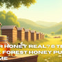 Is Your Honey Real? 6 Tests to Check Forest Honey Purity at Home