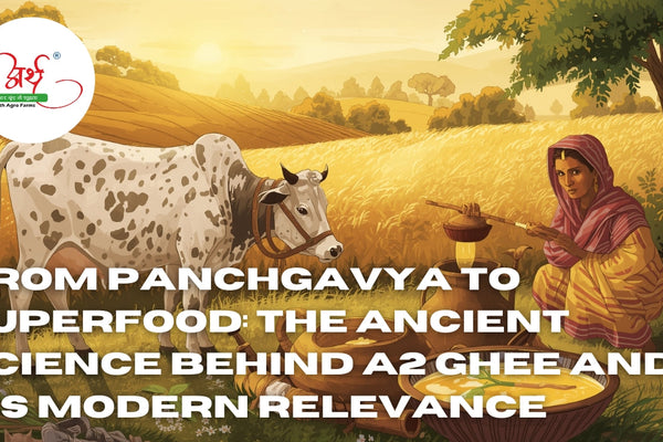 From Panchgavya to Superfood: The Ancient Science Behind A2 Ghee and Its Modern Relevance