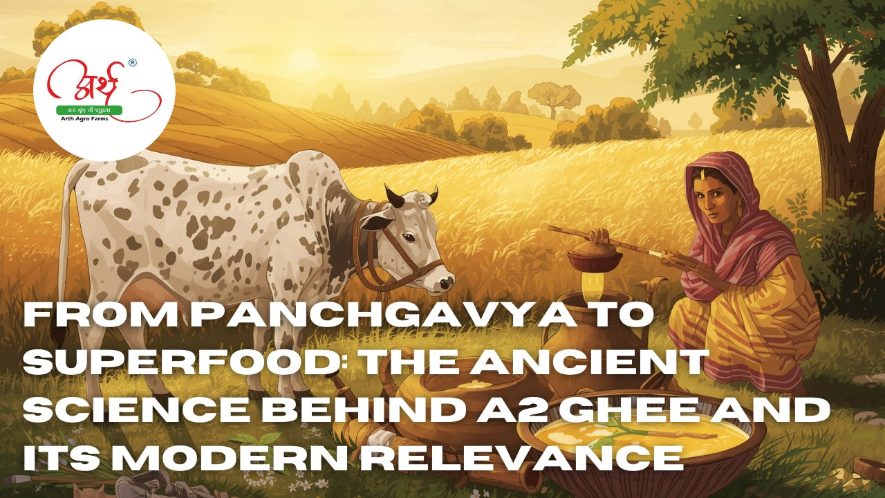 From Panchgavya to Superfood: The Ancient Science Behind A2 Ghee and Its Modern Relevance